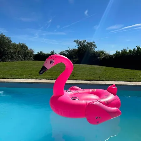 Le Bain Des Hirondelles 3* Sprimont